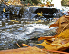 一键故障转移的ddos在线攻击平台